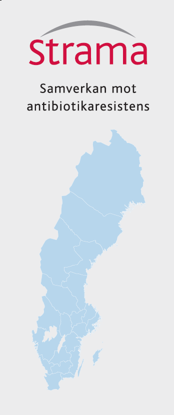 Bildsektion